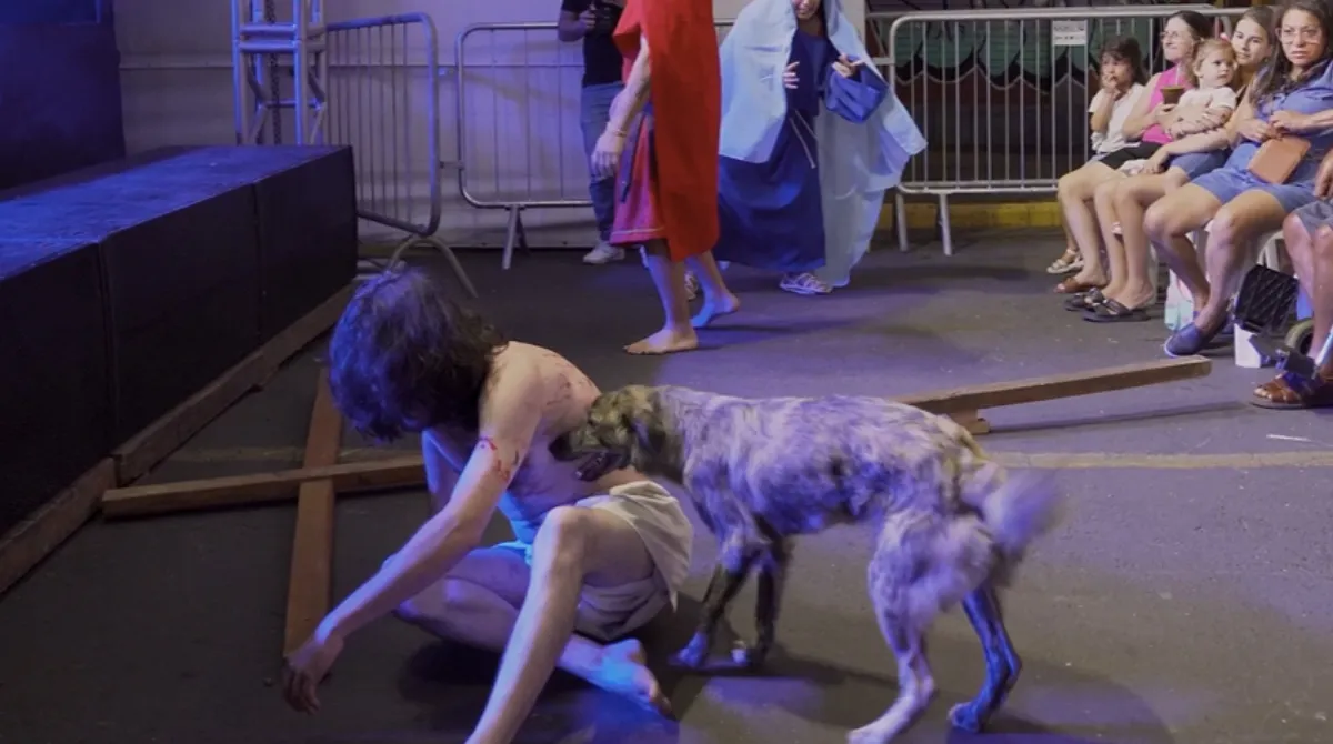 VÍDEO: cachorrinha invade encenação da Paixão de Cristo e ‘defende’ Jesus