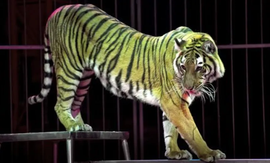 Projeto que proíbe animais em circos baianos é aprovado; Texto segue para sanção ou veto