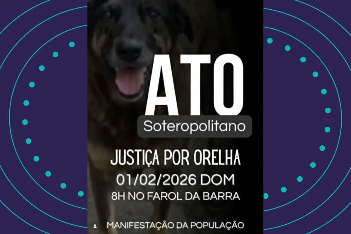 Ato por cachorro Orelha acontece neste domingo em Salvador; confira