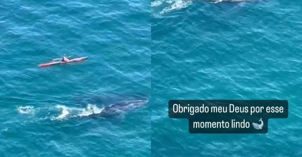 Marido de Ivete é surpreendido por baleias jubartes durante remada na Baía de Todos-os-Santos