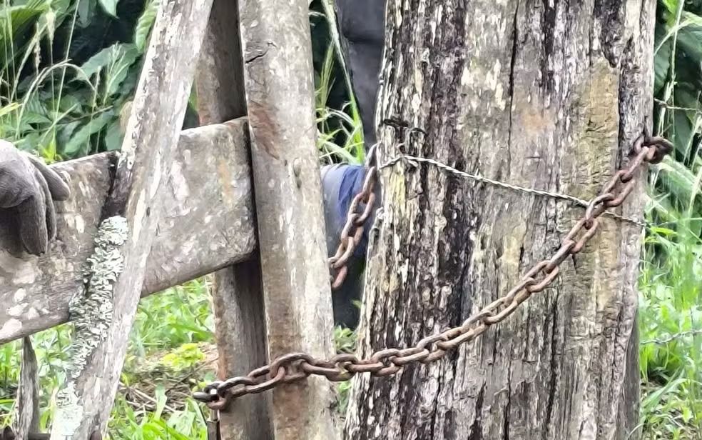 Foto: Polícia Civil da Bahia
