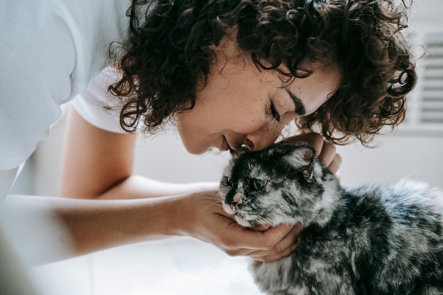 A líder do estudo, a cientista Adriana Rostekova, explicou que os benefícios variaram de acordo com o tipo de animal. | Foto: Ilustrativa/Pexels