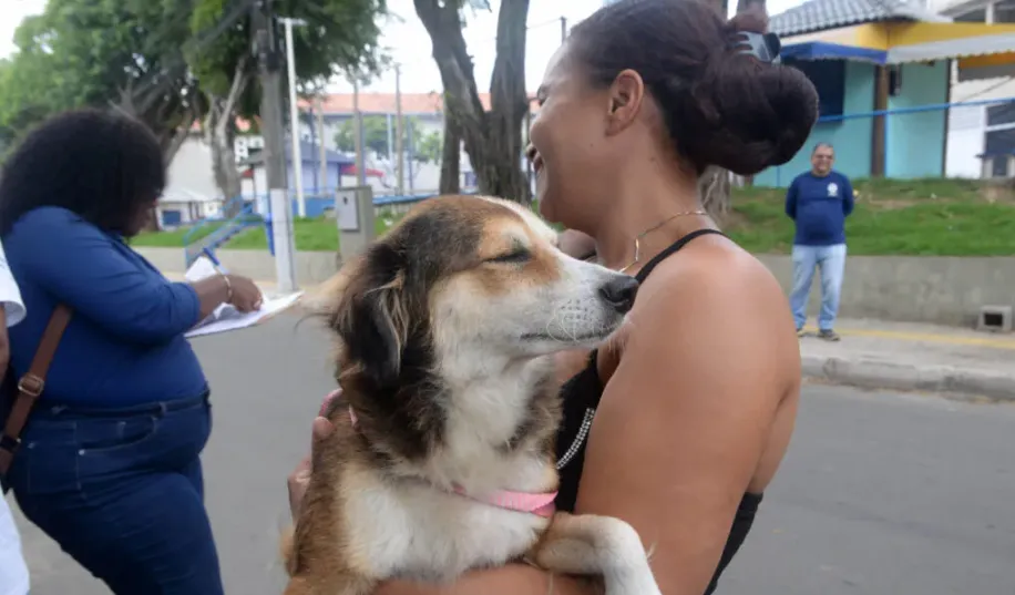 Confira local para vacinar seu pet contra raiva nesta segunda (17) em Salvador