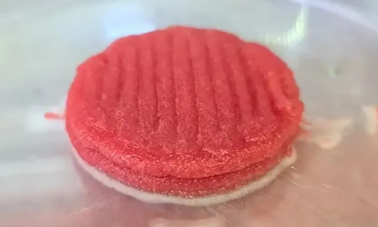 Carne cultivada &eacute; produzida a partir de c&eacute;lulas animais crescidas em laborat&oacute;rio, sem necessidade de cria&ccedil;&atilde;o intensiva ou abate/Foto: Malu Vieira