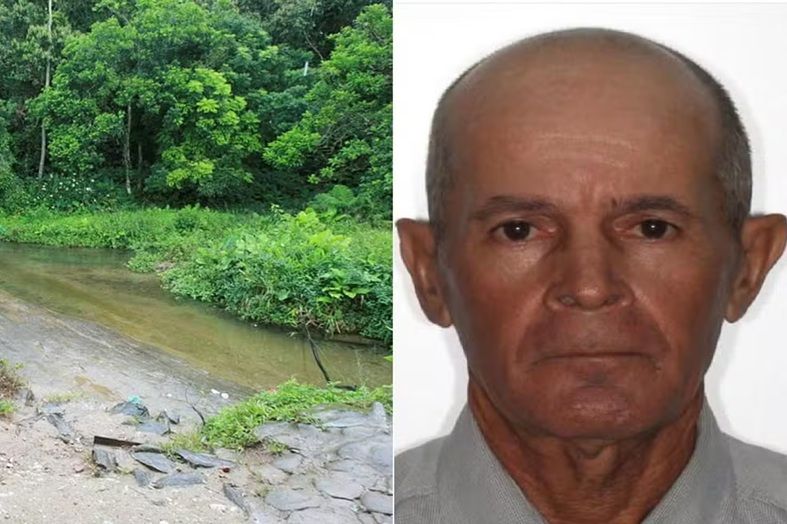 Idoso Que Andava Com R$ 20 Mil Desaparece Após Entrar Em Mata