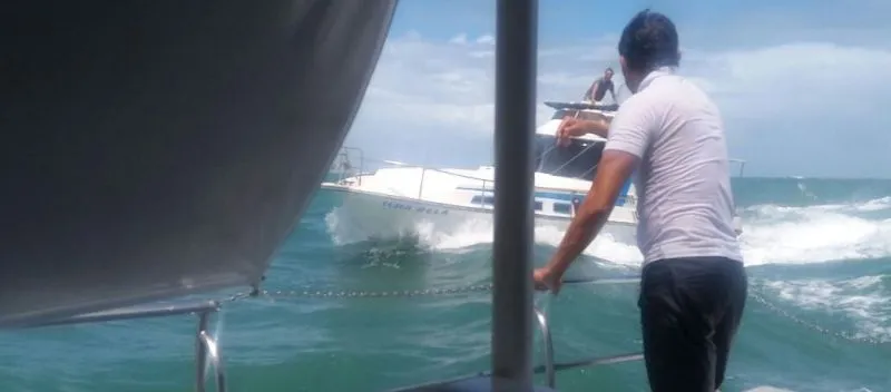 VÍDEO: Embarcação colide com baleia na Baía de Todos-os-Santos e danifica sistema do motor