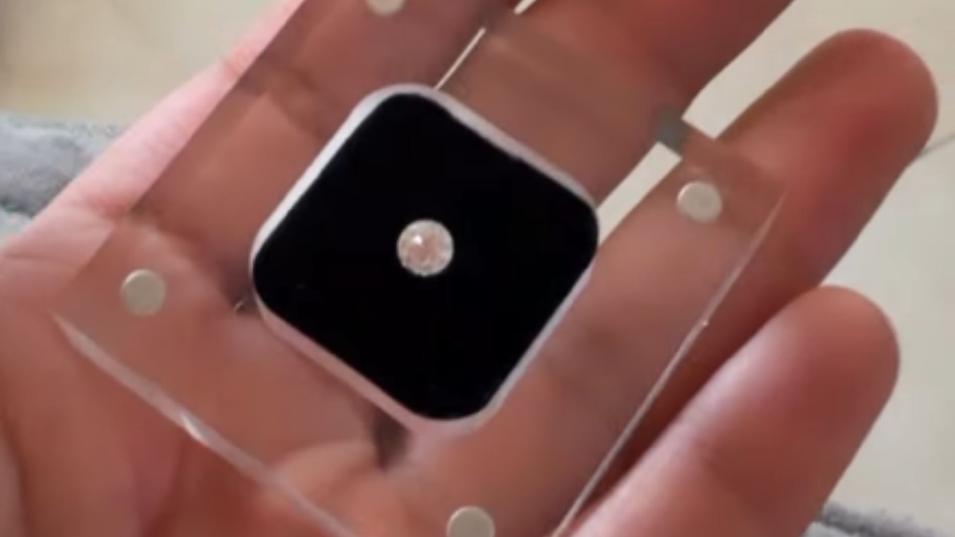 Gominho mostrou diamante feito com cinzas de Preta Gil