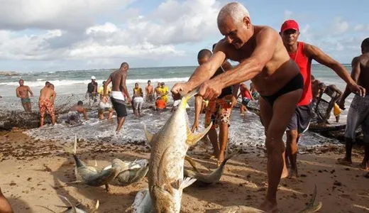 Câmara aprova projeto que facilita habilitação para pescadores sem escolaridade