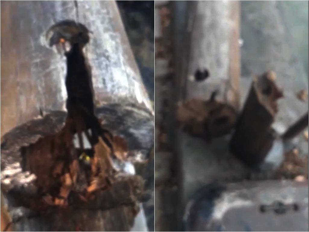 Nas imagens é possível ver a balaustrada bastante danificada e até mesmo espaços em que não há a proteção. Foto: Redes Sociais 