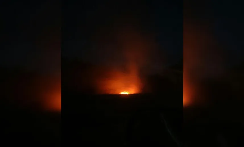 É FOGO: Incêndio atinge mata em estrada na Praia do Forte sentido Salvador; Assista