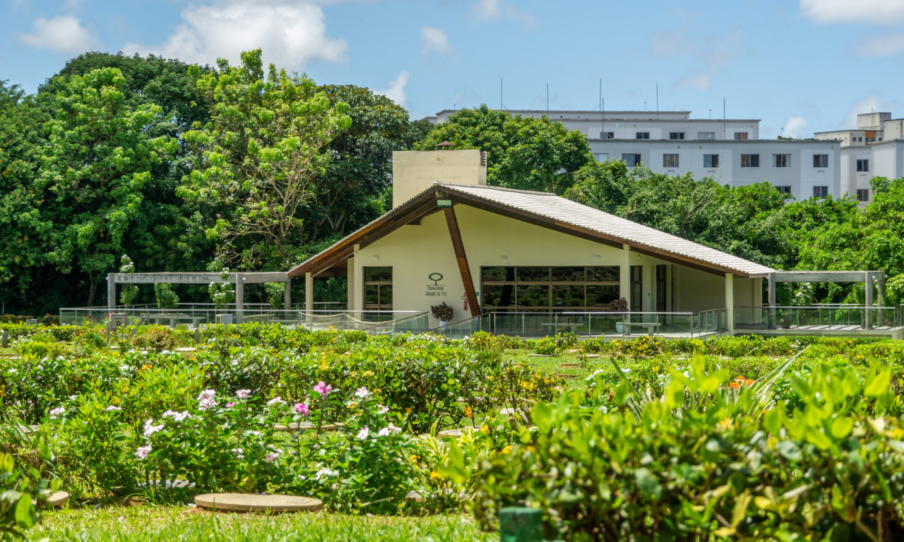 Bosque da Paz. Foto: Divulgação