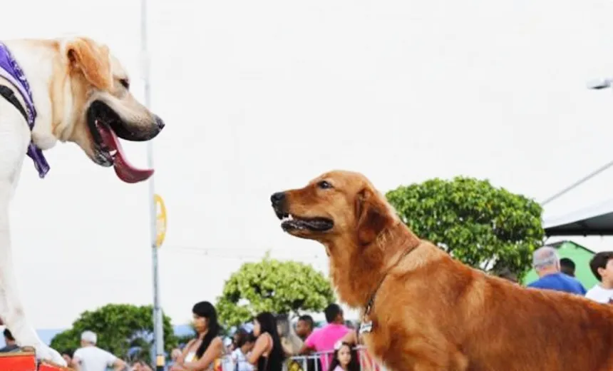 Feira Mais Pet, celebra o ?Dia do Aumigo? no próximo sábado, em Salvador