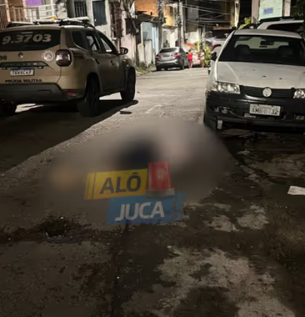 Al&ocirc; Juca 3
