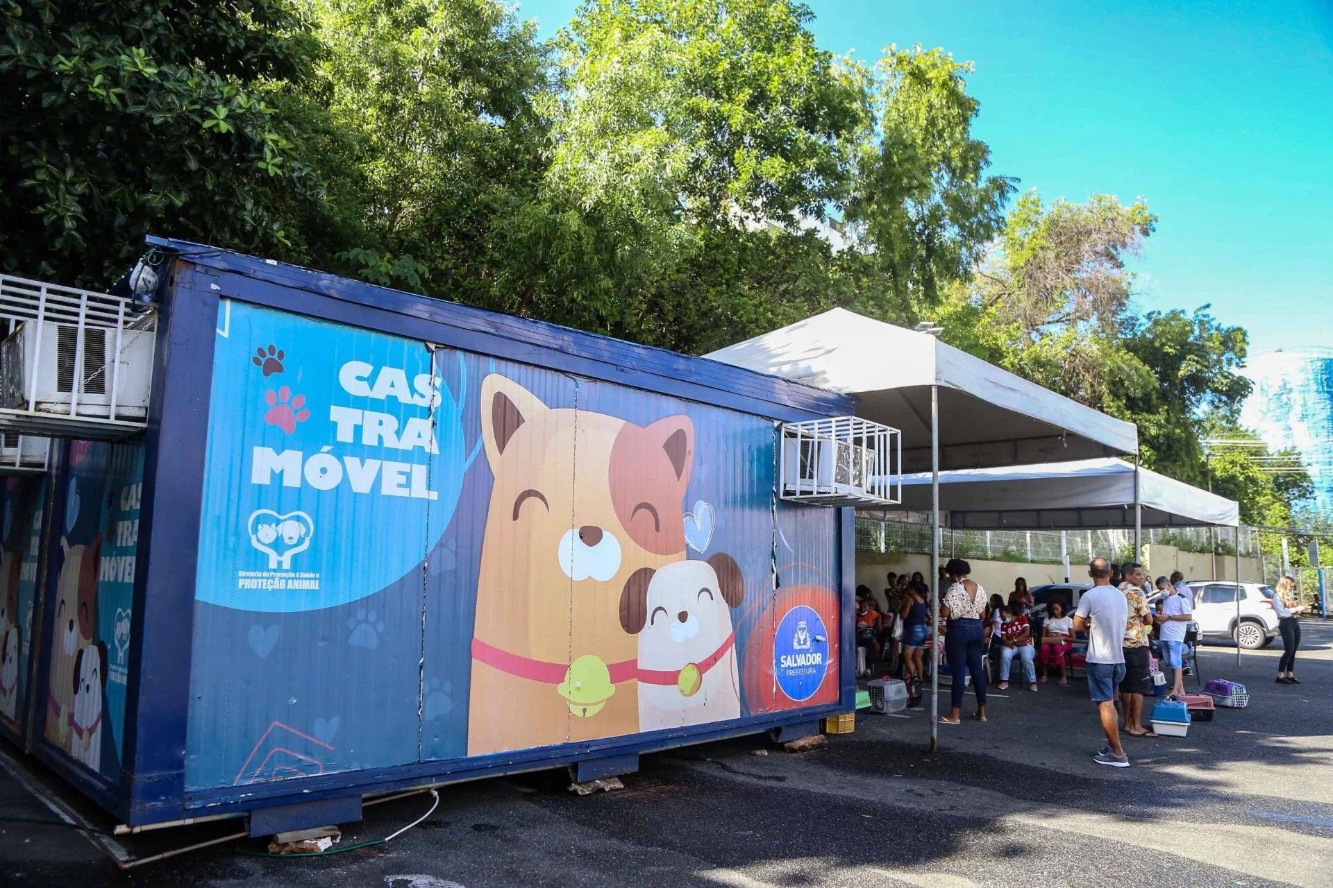 Shopping da capital recebe serviço castramóvel para cães e gatos; confira como acessar