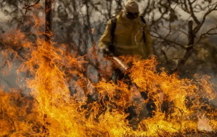 Entenda as linhas de investigação dos incêndios florestais no país