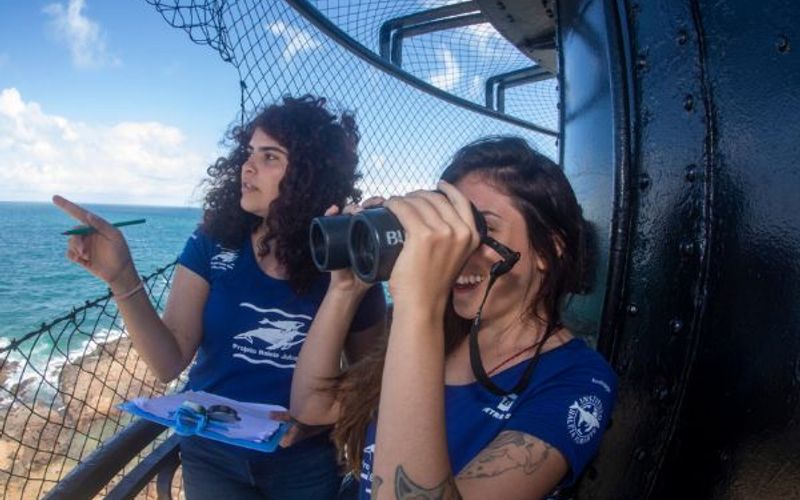 A Agenda de Salvador tamb&eacute;m reserva um espet&aacute;culo da natureza: a temporada de observa&ccedil;&atilde;o de baleias jubarte j&aacute; come&ccedil;ou no Farol da Barra/Foto: Enrico Marcovaldi/Projeto Baleia Jubarte&nbsp;