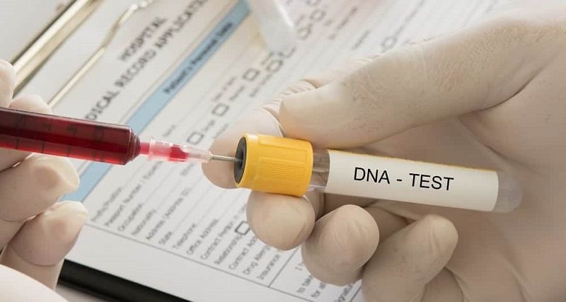 Este ano, até o mês de abril, a DPE realizou 83 testes gratuitos de DNA. Foto: Ilustração | Shutterstock
