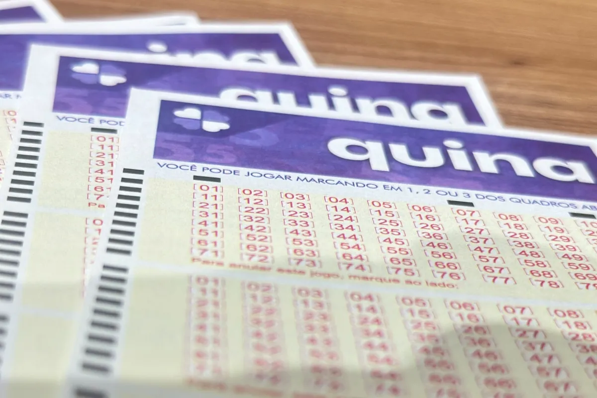 Resultado da Quina: confira números sorteados do concurso 6941