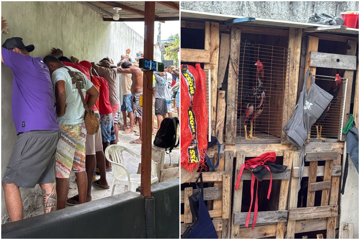  A a&ccedil;&atilde;o policial no Barro Duro, em Salvador, desarticulou uma rinha de galos e apreendeu dinheiro e muni&ccedil;&otilde;es. Foto: PMBA