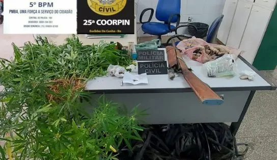 Roça de maconha é descoberta em povoado do interior da Bahia; dois homens foram presos