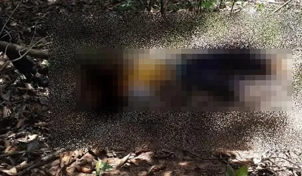 Trabalhador rural é morto a golpes de foice em Itamaraju