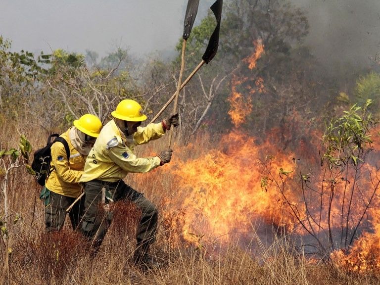 Embora o Ibama tenha afirmado que a suspensão não impacta diretamente o combate aos incêndios, ela prejudica a capacitação técnica dos profissionais. Foto: GOV BR