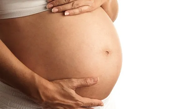 Feira de barriga de aluguel causa polêmica na Bélgica