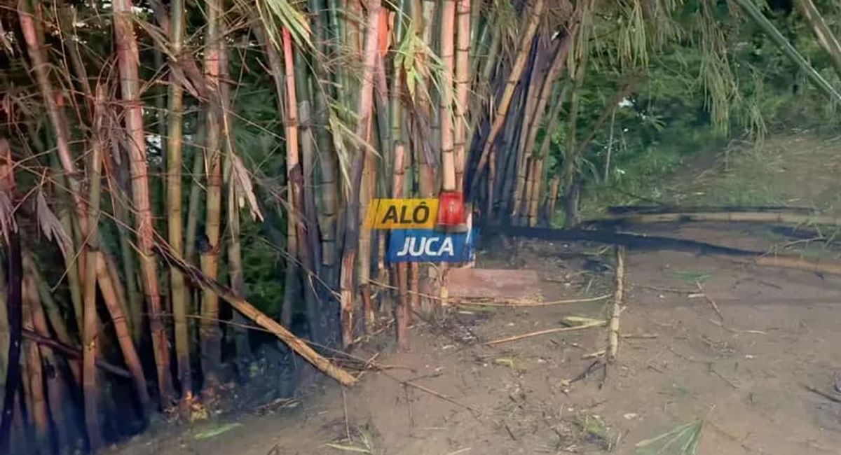 Inc&ecirc;ndio Atingiu &Aacute;rea De Bambuzal &Agrave;s Margens Do Dique Do Toror&oacute;, Em Salvador