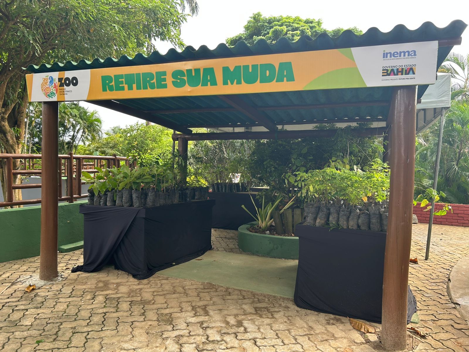 Foto: Ananda Costa