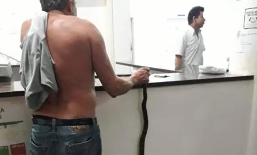 Idoso é picado por jararaca e leva cobra viva na mão até hospital de Rondônia