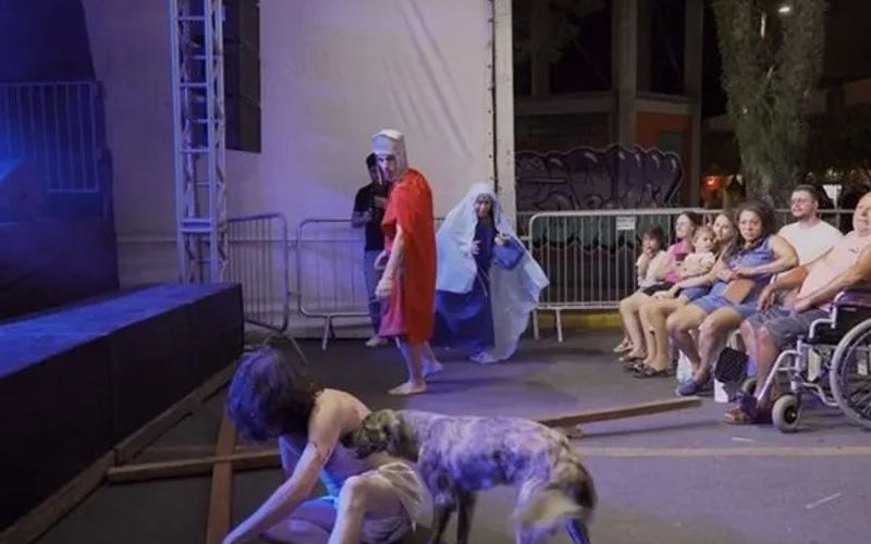 Ap&oacute;s o espet&aacute;culo, o animal ficou temporariamente sob cuidados de moradores da regi&atilde;o e foi adotado no dia seguinte/Foto: Redes Sociais&nbsp;