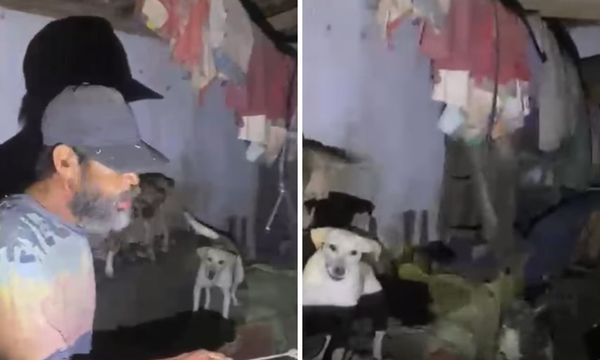 suspeito de maus-tratos ap&oacute;s morte de cachorro na Bahia