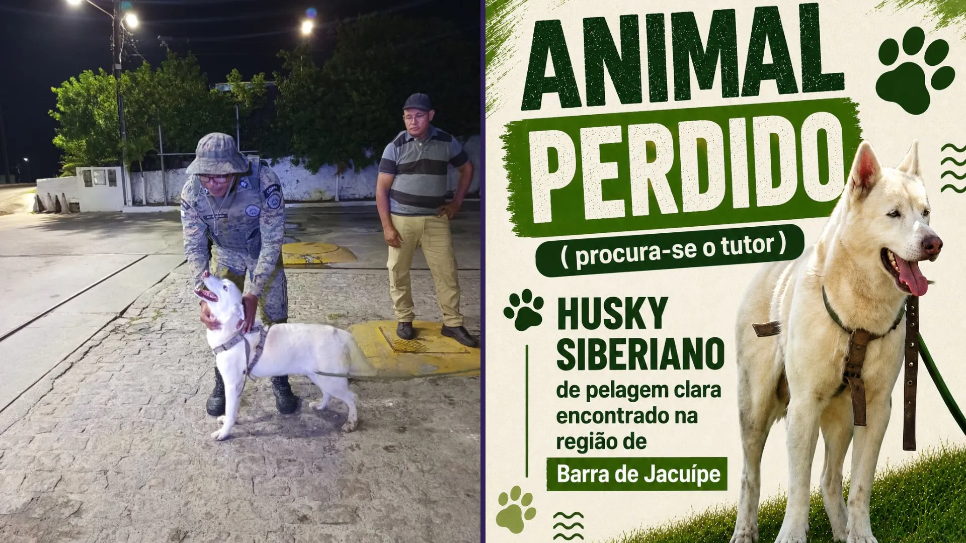 Cão é resgatado pela polícia após risco de atropelamento em Camaçari