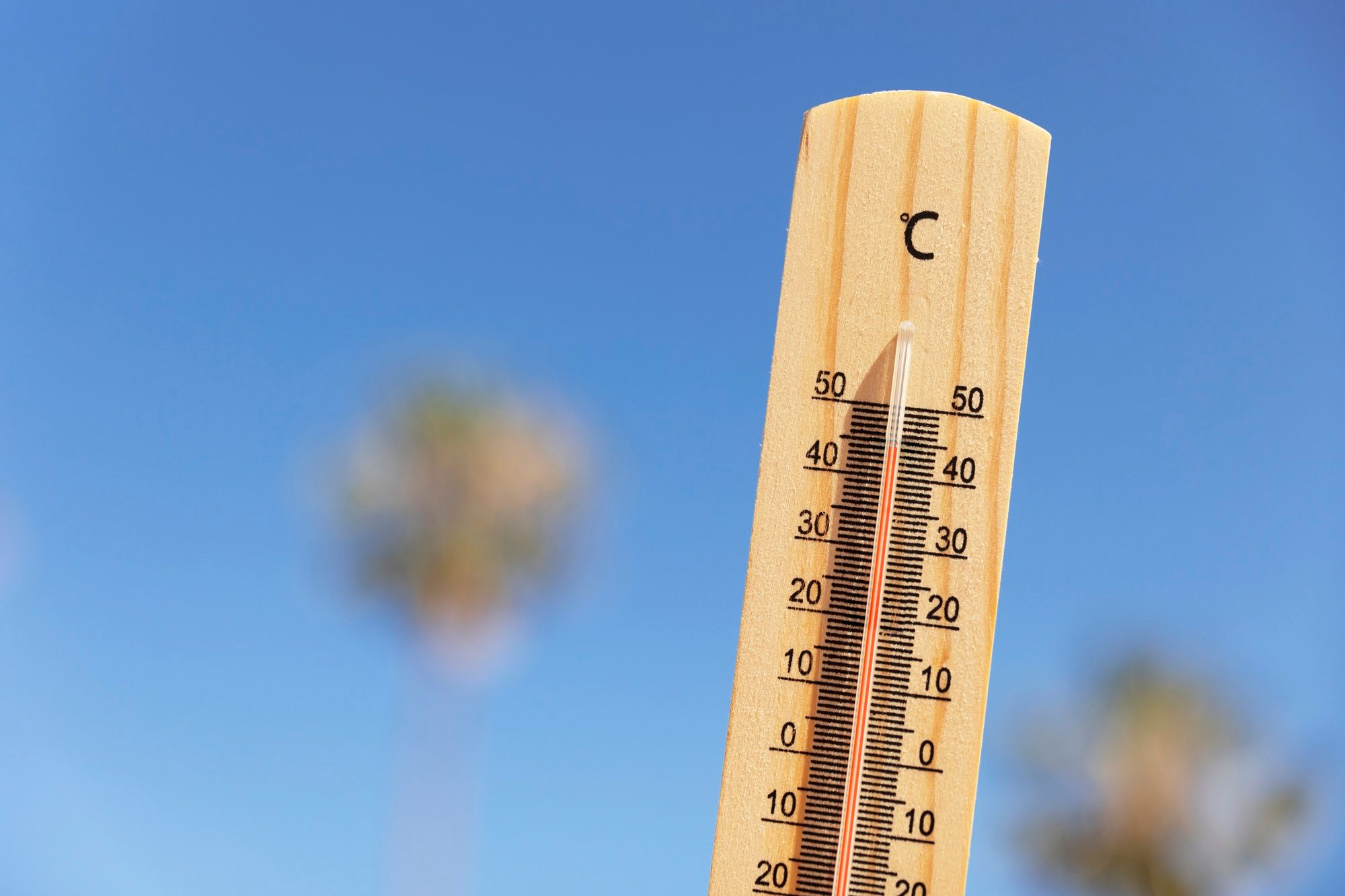 El Nino Deixa Inverno Na Bahia Mais Quente E Com Seca Intensa No Interior Entenda