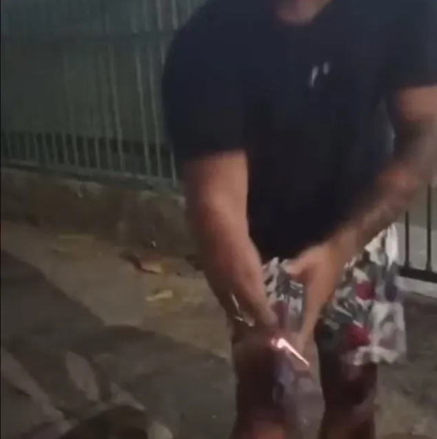 Foto: Reprodução | Vídeo