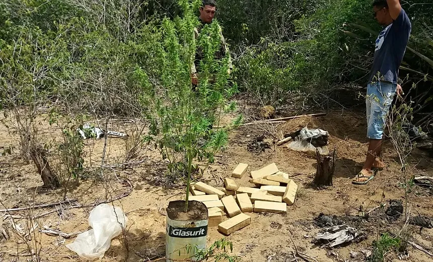 BAIXA: Operação policial prende dois traficantes e apreende 40 kg de maconha no sul da Bahia