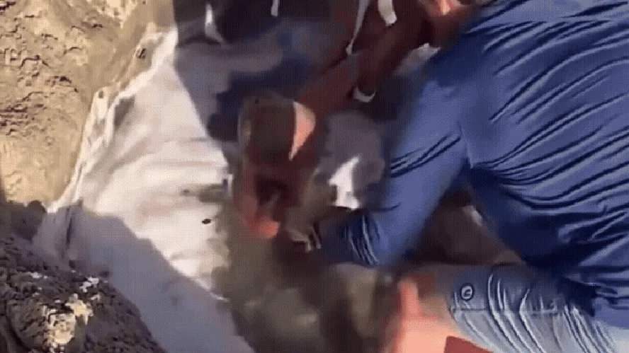 Banhistas resgatam crianças presas em buraco na areia na praia; vídeo