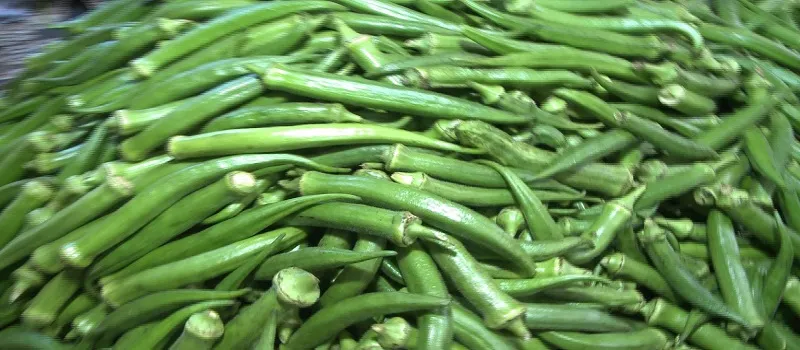 TRADIÇÃO: Devotos vão em busca de ingredientes para preparar Caruru