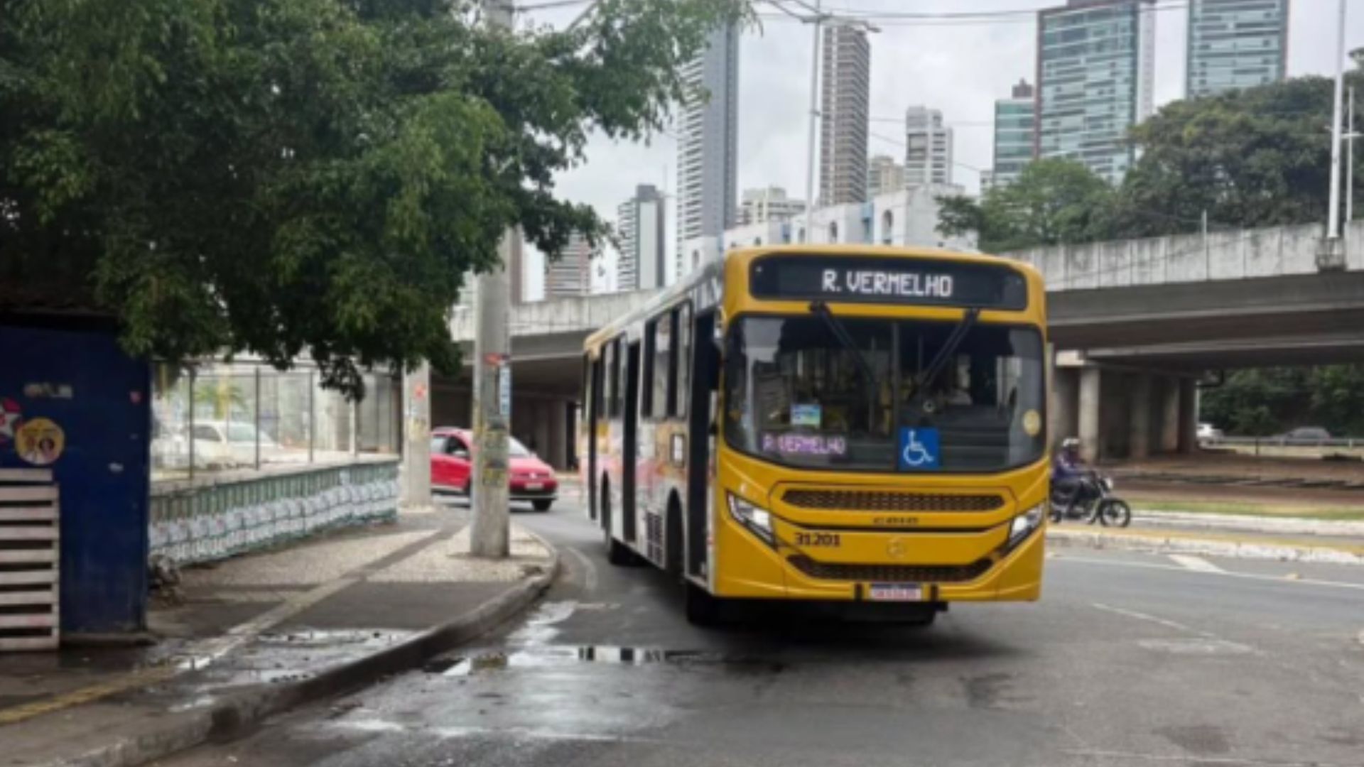 &Ocirc;nibus voltam a circular no Vale das Pedrinhas. Foto: sinttrusba