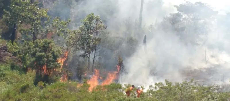 RIO DE CONTAS: Apesar da ação de bombeiros e voluntários, incêndio ainda atinge parque natural