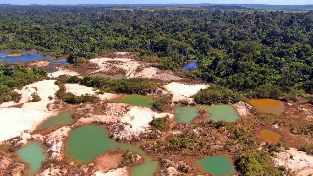 Entenda o 'PL da Devastação'; projeto muda regras para licenças ambientais