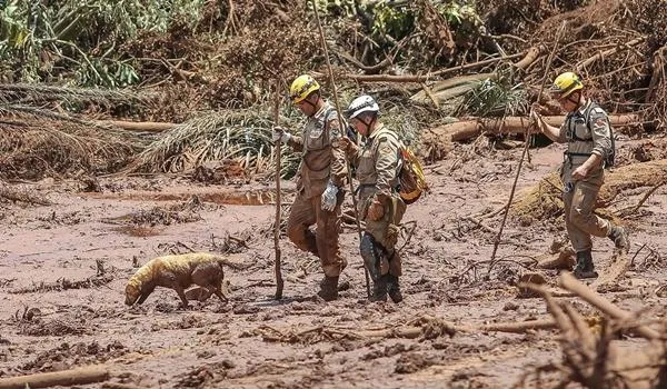 Brumadinho: MP denuncia Vale, empresa alemã e mais 16 pessoas por rompimento de barragem 