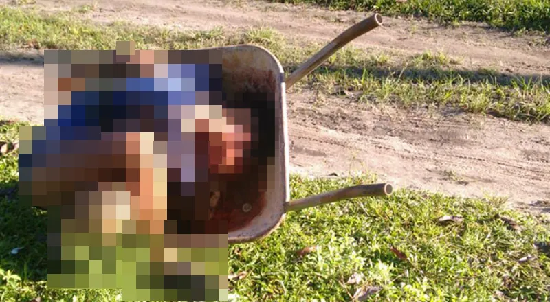 DIAS D’ÁVILA: Corpo de mulher que foi torturada é encontrado em caçamba, na Região Metropolitana