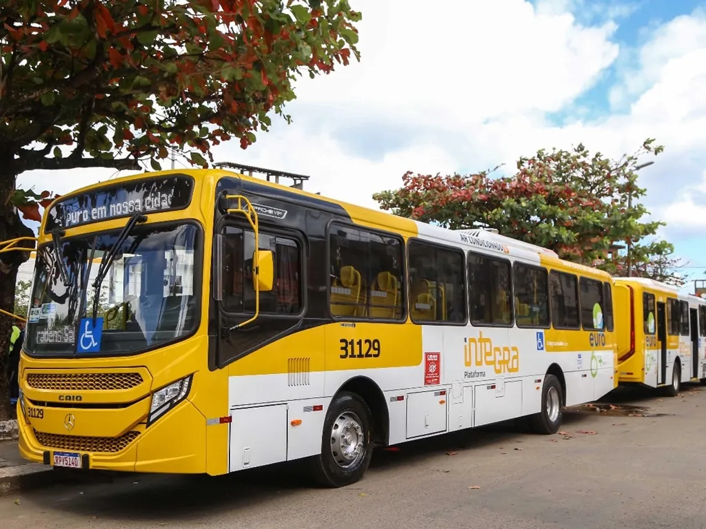 ônibus salvador