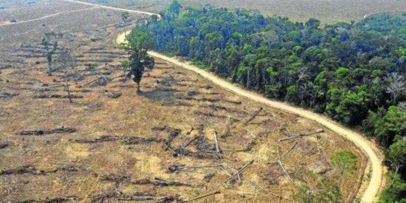 O VLT de Salvador terá capacidade para transportar passageiros a cada 5 minutos nos horários de pico, oferecendo alternativa sustentável à mobilidade urbana/Foto: Joá Souza/GOVBA