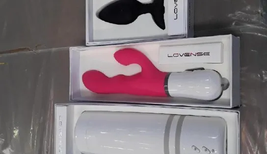 Vibrador e cabelo humano: quanto custam os objetos mais inusitados de leilão da Receita Federal? 