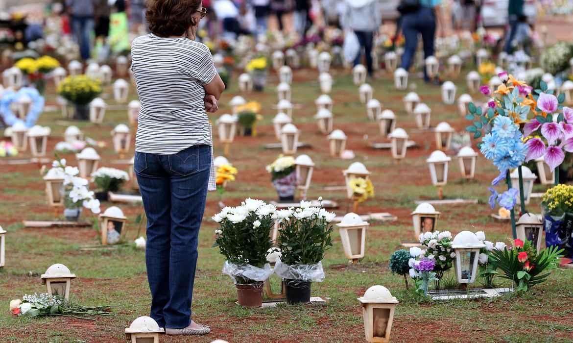 Flores Em Cemitério Foto  Wilson Dias Agência Brasil