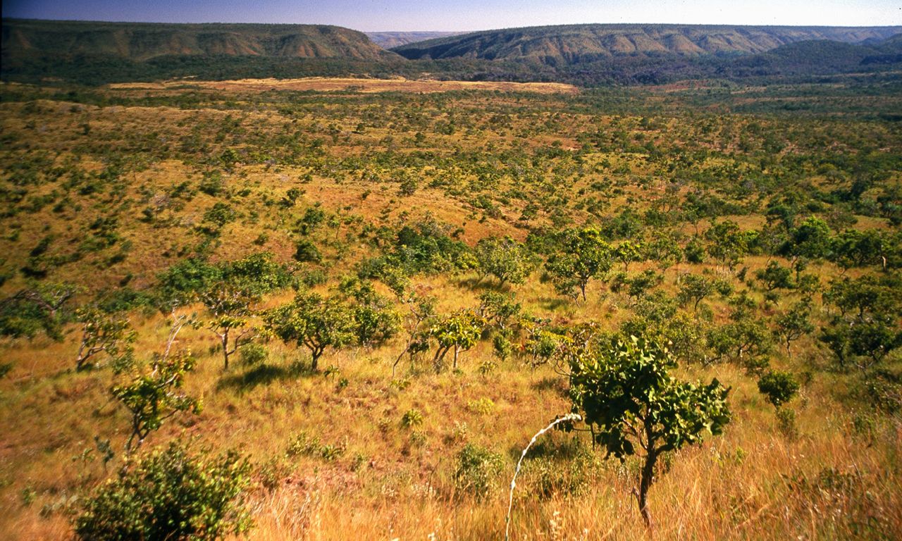Veja como ser&aacute; o Outono na Bahia. Foto: Matheus Lemos/Inema