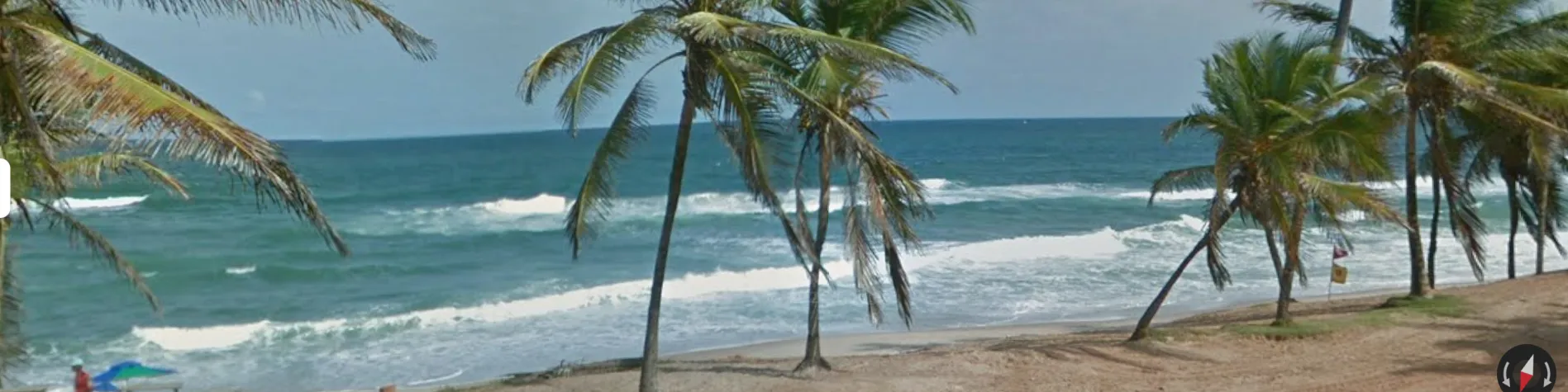 Tartaruga é encontrada morta um dia após óbito de golfinho em praia de Salvador