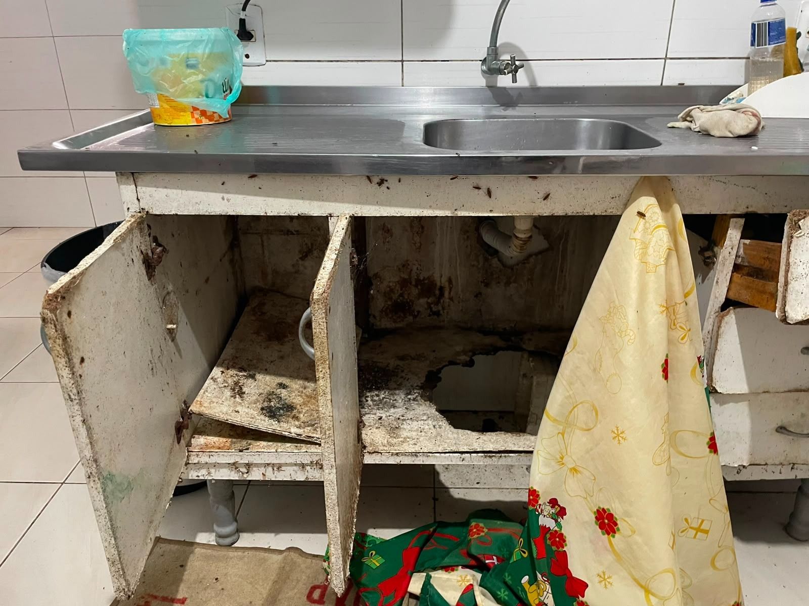 Gestora Lar De Idosos Presa Salvador